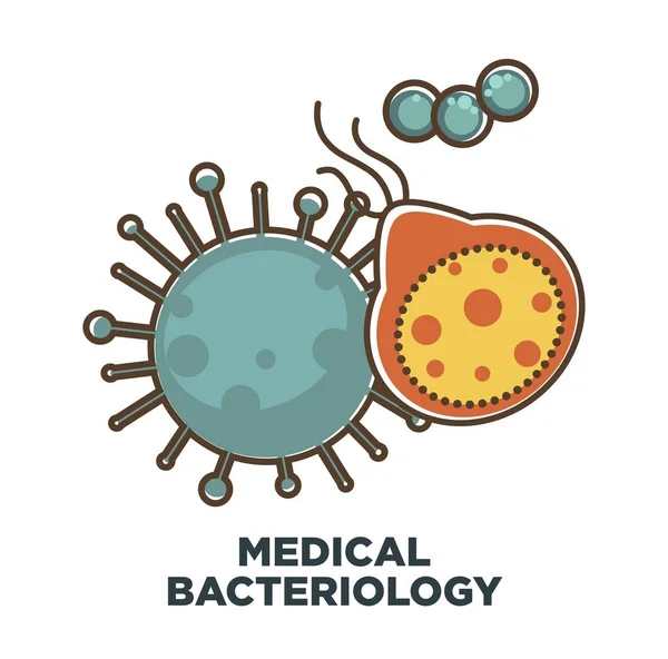 医学の細菌学や微生物の生物学研究と医療ヘルスケアの概念のためのウイルスや細菌のアイコン — ストックベクタ