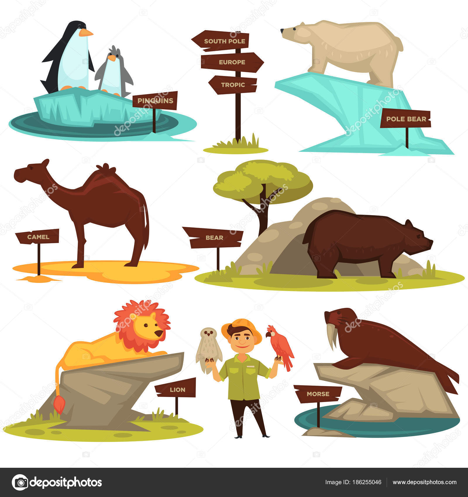 Zoo Animals Names Direction Signs White Background Stock Vector Image by  ©Sonulkaster #186255046
