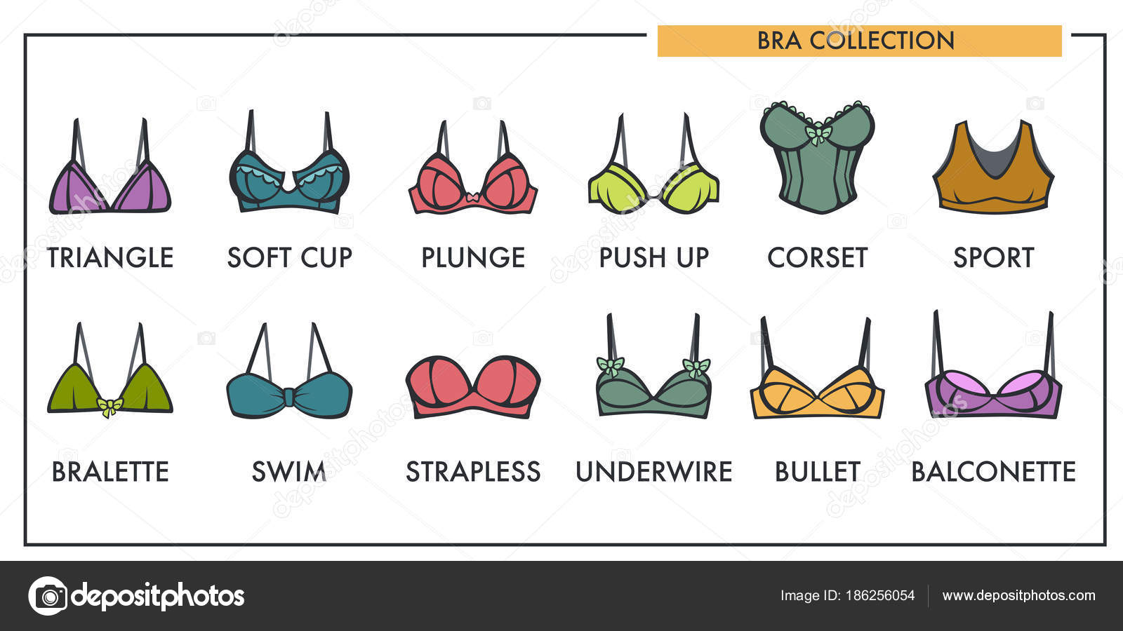 Woman Bra Types Collection Vector Icons Fashion Brassiere Lingerie Stock  Vector by ©Sonulkaster 186256054