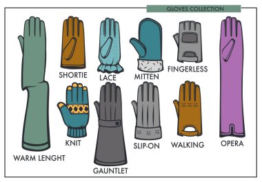 Woman gloves type models collection clipart