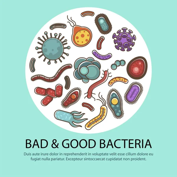 Bacteria Microbes Heart Poster Medical Bacteriology Viruses Bacteria Microbiology Study — Stock Vector