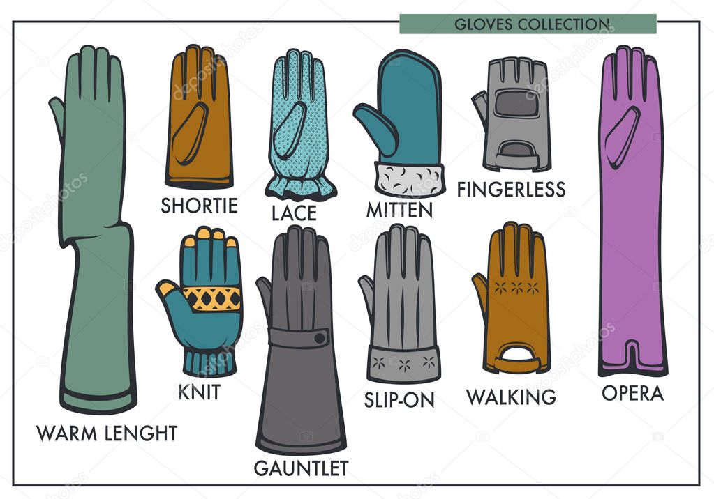 Woman gloves type models collection