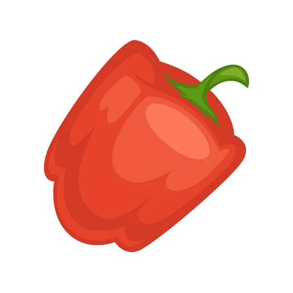 Красный Сладкий Перец Небольшим Зеленым Стеблем Органические Здоровые Овощи Выращенные — стоковый вектор