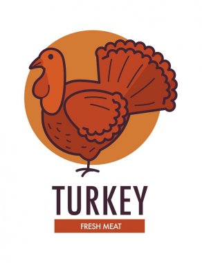 Büyük aile içi kuş ile Türkiye taze et promosyon logo. Çiftlikte büyüdü ve reklam amblemi altında izole karikatür düz vektör çizim işaretiyle organik tohum ile beslenen tavuk.