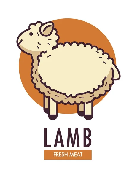 Agnello Fresco Carne Emblema Promozionale Con Pecora Soffice Animale Domestico — Vettoriale Stock