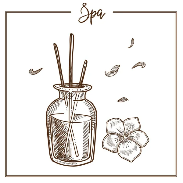 Spa Salón Aromaterapia Tratamiento Bosquejo Icono Palitos Aroma Aislados Vectoriales — Archivo Imágenes Vectoriales