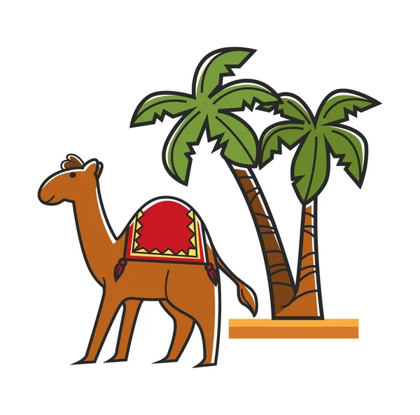 Egípcio Camelo Com Sela Altas Palmeiras Tropicais Hardy Animal Com — Vetor de Stock