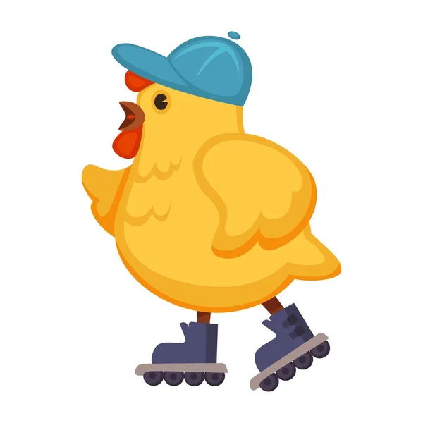 Plump chicken in blue cap on walk in roller-skates. Chubby hen with headdress has fun and skates. ridiculous domestic bird in rollers isolated cartoon flat vector illustration on white background.