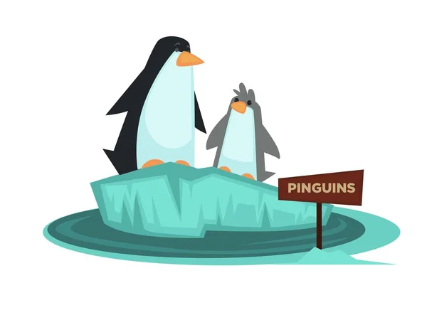 Pingvin Zoo Djur Och Trä Skylt Vektor Tecknad Ikon Isolerade — Stock vektor
