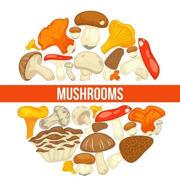 Cogumelos Cartaz Cogumelo Comestível Vetor Champignon Plano Boleto Floresta Chanterelle —  Vetores de Stock