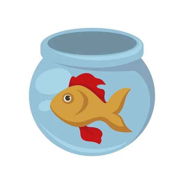 圆鱼缸里有红鳍的金鱼 小型无声宠物 生活在紧凑透明的容器与新鲜干净的水隔离卡通平面矢量图白色背景 — 图库矢量图片