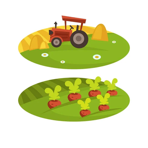 Colheita Fazenda Agregado Familiar Agricultor Ícones Desenhos Animados Agricultura Plana —  Vetores de Stock