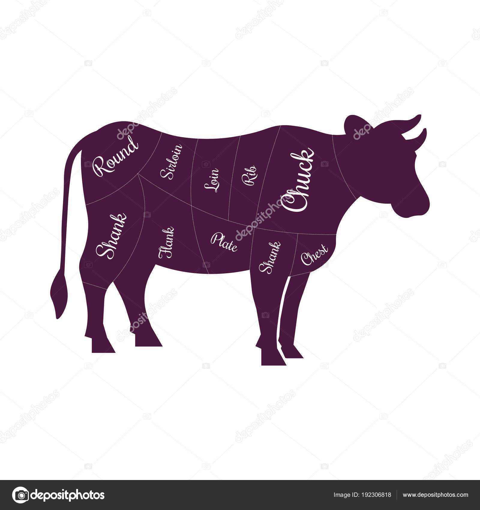 Cow Butcher Chart