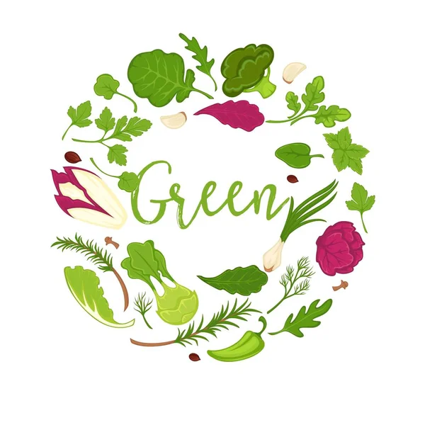Affiche Légumes Salades Légumes Végétariens Salades Laitue Vectorielles Chou Fleur — Image vectorielle
