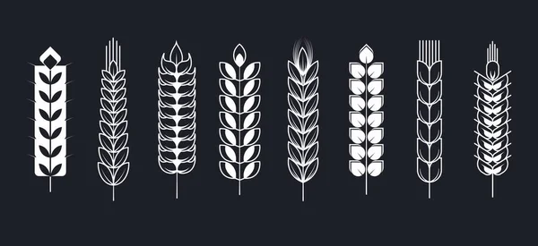 Iconos Espiguillas Para Plantillas Logotipo Productos Sin Gluten Cereales Integrales — Vector de stock