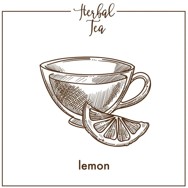 Herbal Tea Lemon Slice Monochrome Promo Banner Cup Healthy Hot — Stock Vector