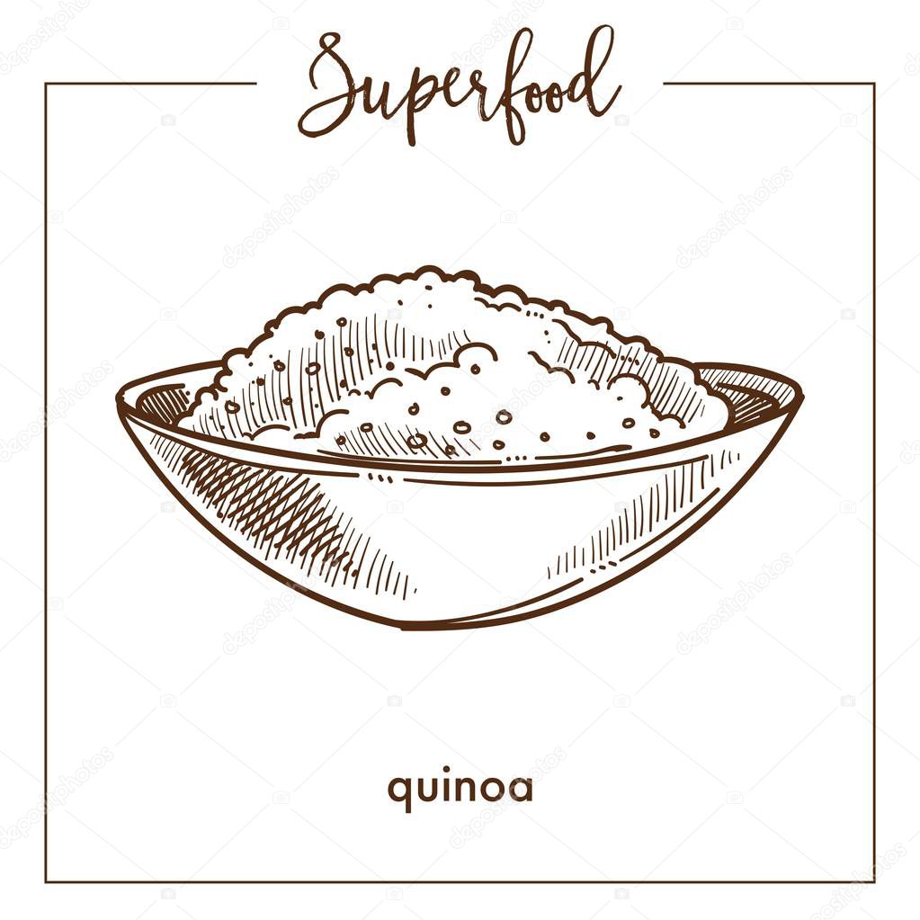 Quinoa cereal in deep bowl monochrome superfood sketch. Delicious and healthy meal that consists of grains. Nutritious porridge isolated cartoon flat vector illustration on white background.