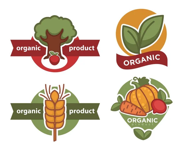Tree Plant Wheat Spike Vegetables Organic Product Isolated Icon Vector — Stock Vector