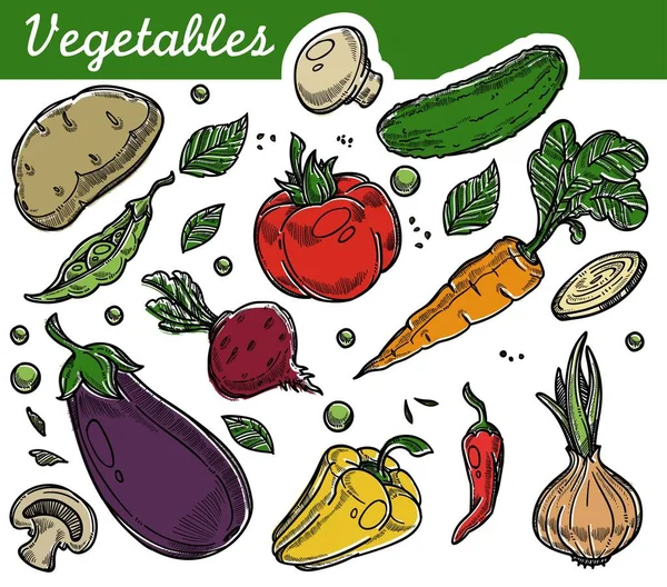 Сбор Овощей Органические Сельскохозяйственные Продукты Питания Вегетарианские Вегетарианское Питание Векторные — стоковый вектор