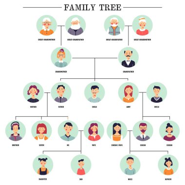 Relationship scheme family tree human avatars vector great grandmother and grandfather grandparents mother and father aunt and uncle sister and brother wife and children nephew and niece cousins clipart