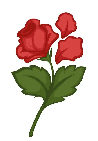 Renässans Symbol Rose Ädla Blomma Och Kronblad Isolerade Växt Vektor — Stock vektor
