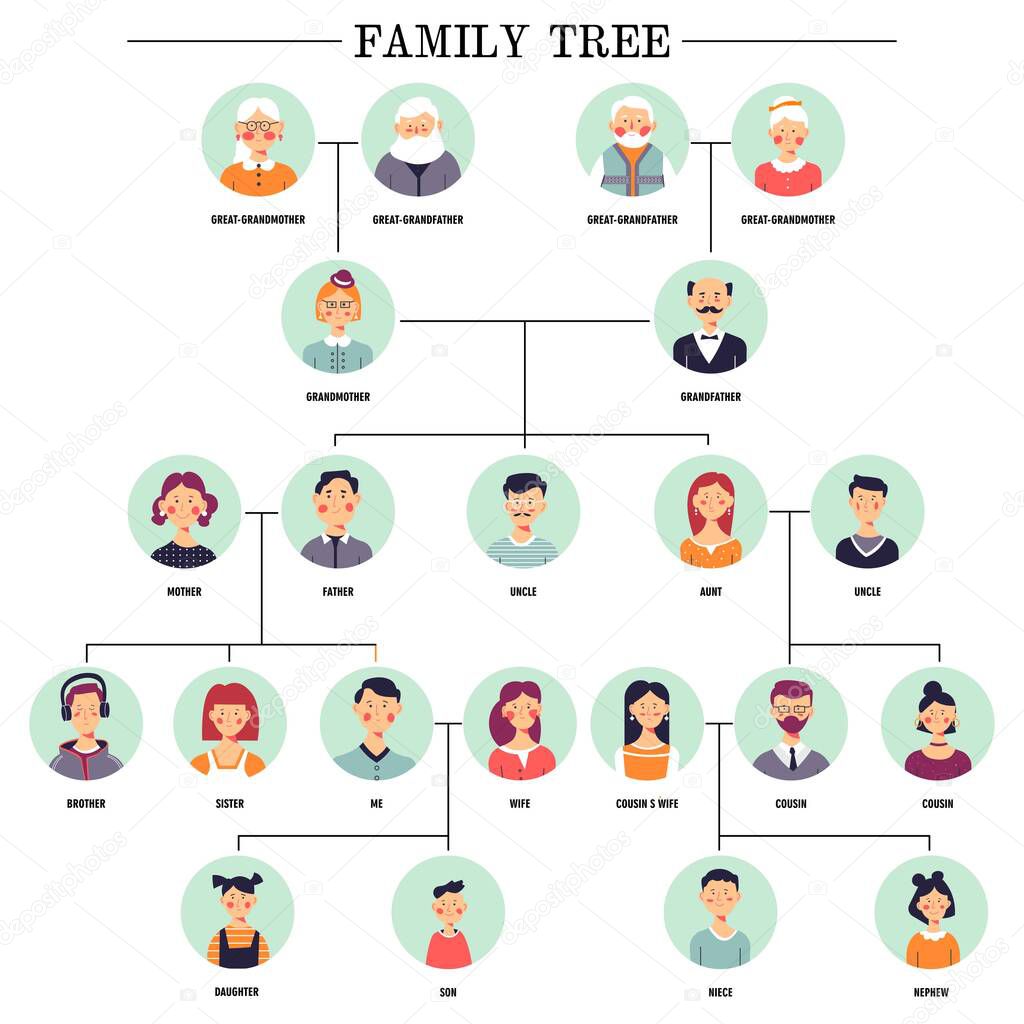 Relationship scheme family tree human avatars vector great grandmother and grandfather grandparents mother and father aunt and uncle sister and brother wife and children nephew and niece cousins