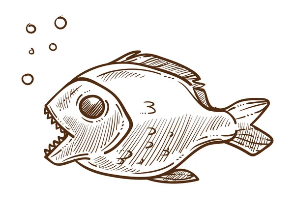 皮兰哈 有锋利牙齿的掠食性鱼 尺寸全长 水下主题的详细绘图 在白色背景上孤立的手绘草图 — 图库矢量图片