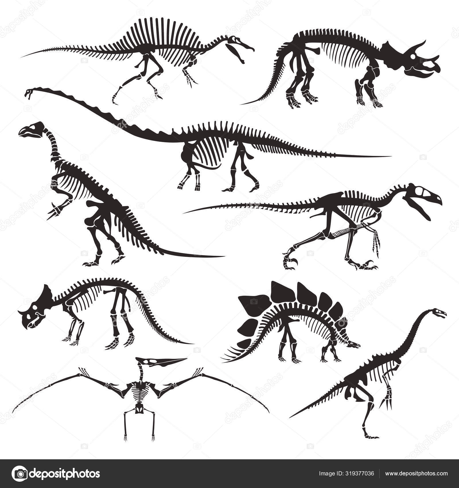 Vetores de Engraçado Brontossauro Préhistórico Dinossauro Antigos Monstros  Selvagens Répteis Estilo Desenho Animado Vetor Isolado e mais imagens de  Animal - iStock