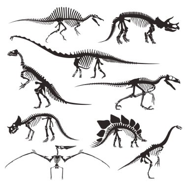 Tarih öncesi hayvan kemikleri, dinozor iskeletleri izole edilmiş ikonlar.