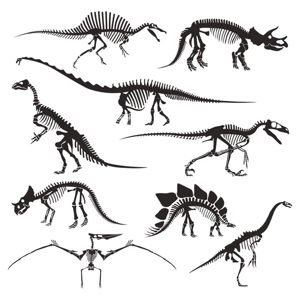 Prehistoric animals bones, dinosaur skeletons isolated icons — Stock Vector