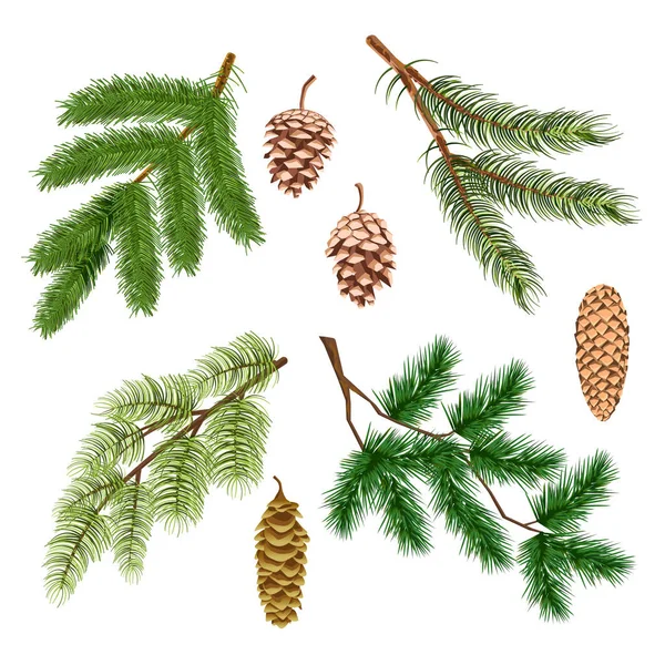 Pinheiro ou abeto, ramos de coníferas de árvore de Natal e cones ícones isolados — Vetor de Stock