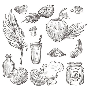 Tropik meyve, hindistan cevizi yiyeceği ve içecek, kozmetik yağ taslakları.