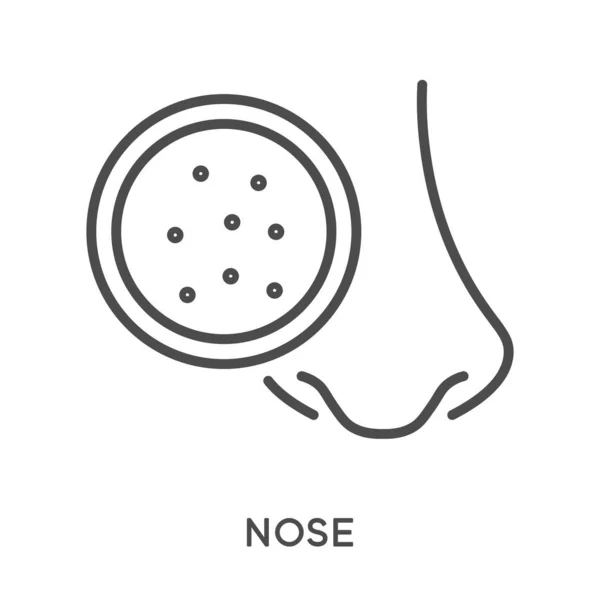 Косметические процедуры для носа, очищение угрей и точек в пор — стоковый вектор