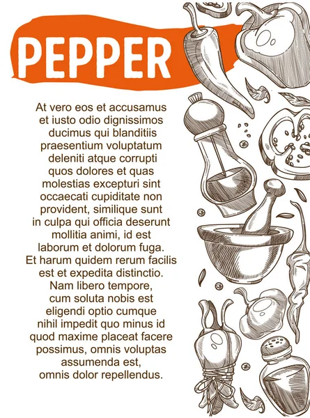 Spice Condiment Pepper Cooking Ingredients Vegetables Kitchen Sketch Poster Vector — Stock Vector