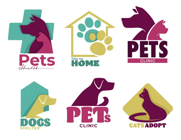 Hund Und Katze Tierarztpraxis Und Tierheim Isolierte Symbole Vektor Behandlung — Stockvektor