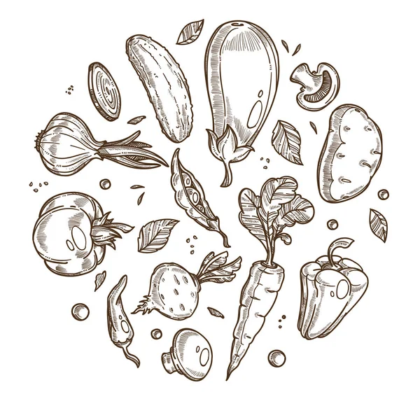 Шаблон Баннера Органической Продукции Иконки Установленные Кругу Свежие Овощи Корни — стоковый вектор