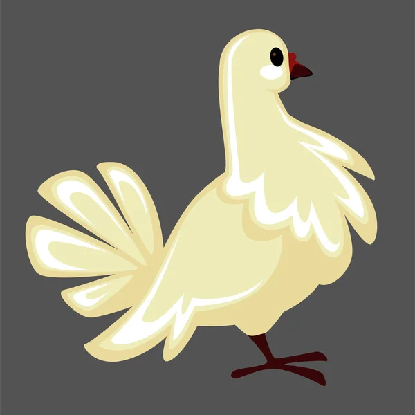 白い鳩とふわふわの羽のサイドビューを持つ鳩鳥 — ストックベクタ