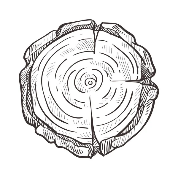 Trozo Bosque Pieza Madera Madera Materiales Naturales Madera Vectores Bocetos — Archivo Imágenes Vectoriales