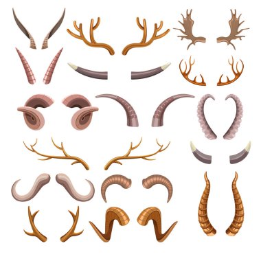 Trophy horns set. Collection of hunting trophies, antlers, different endangered animals. Argali sheep, ibex, African buffalo, stag and reindeer horn shapes. Vector illustration on white background.
