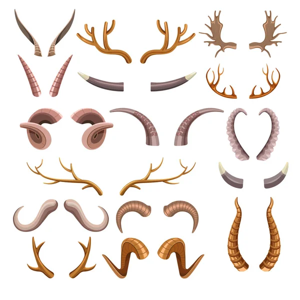 Trophy Horns Set Collection Hunting Trophies Antlers Different Endangered Animals — 스톡 벡터