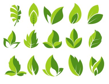 Green leaves icons set. Leaf abstract logo collection. Birch, tropical palm tree leaf or bush plant. Various shapes of greenery, park, nature and ecology symbol. Graphic vector illustration on white.