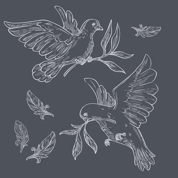 Pigeons Colombes Volant Avec Une Branche Olivier Dans Des Croquis — Image vectorielle