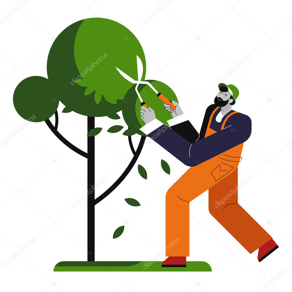 Gardener trims plant in garden, man cutting tree in park. Pruning shears for cutting foliage, worker shaping garden, planting and growing. Green decor, landscape designer in overalls with scissors