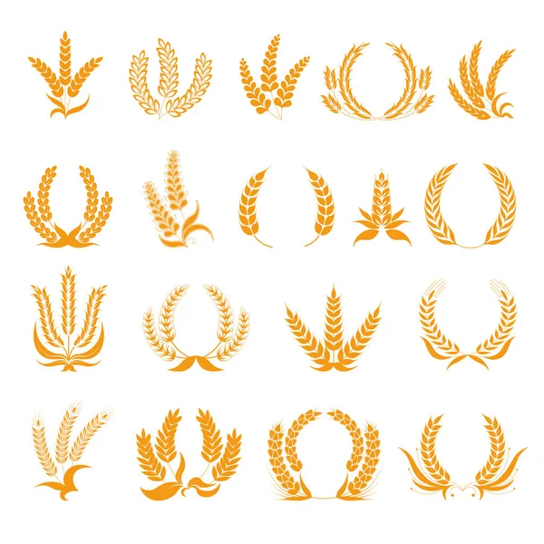Buğday Veya Arpa Dikenleri Kraliyet Logosu Olarak Mısır Gevreği Dikenleri — Stok Vektör