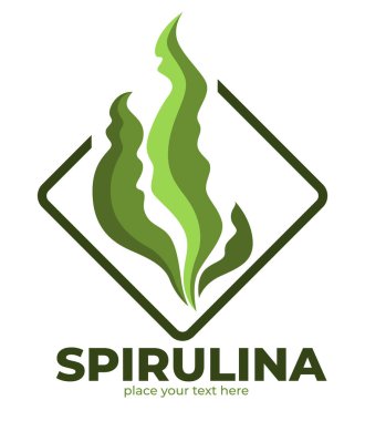 Süper yiyecek izole ikonu, spirulina aglae yaprakları, detoks