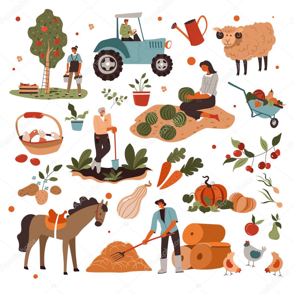 Collection of farmers and agricultural devices and equipments. Farming people and animals, sheep and horse. Character picking apples and gathering watermelons, harvesting season vector in flat