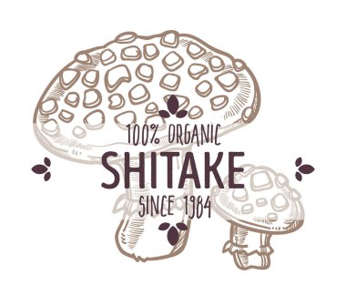 Shiitake mantarı monokrom taslağı yemek malzemesinin ana hatları, Lentinula edodes. İlaç ve mutfak yemeklerinde kullanılan yırtık mantarlar. Diyet ve vejetaryen menü kalıpları simgesi, düz biçimli vektör
