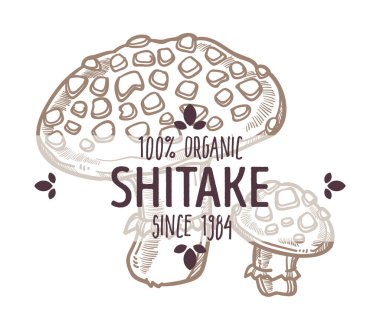 Shiitake mushroom monochrome sketch outline of food ingredient, Lentinula edodes. Rip fungus used in medicine and culinary dishes. Dietary and vegetarian menu plates icon, vector in flat style clipart