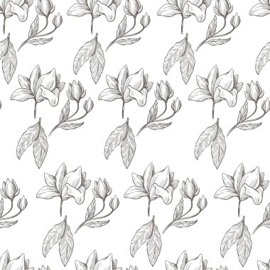 Yapraksız desenli, sapında çiçek var. Gelişen tomurcukları, bahar çiçekleri, yapraklı renksiz çiçek dalları olan tek renkli bitkilerin ana hatları. Yaz botaniği, düz stil vektörü