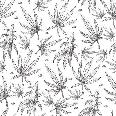 Marihuana pürüzsüz desen bırakır, kenevir yaprağı, tek renkli çizim taslağı. Kimyasal esrar, tıbbi amaçlar için psikoaktif bitki. Cannabidiol narkotik ile haşhaş, düz stil vektörü